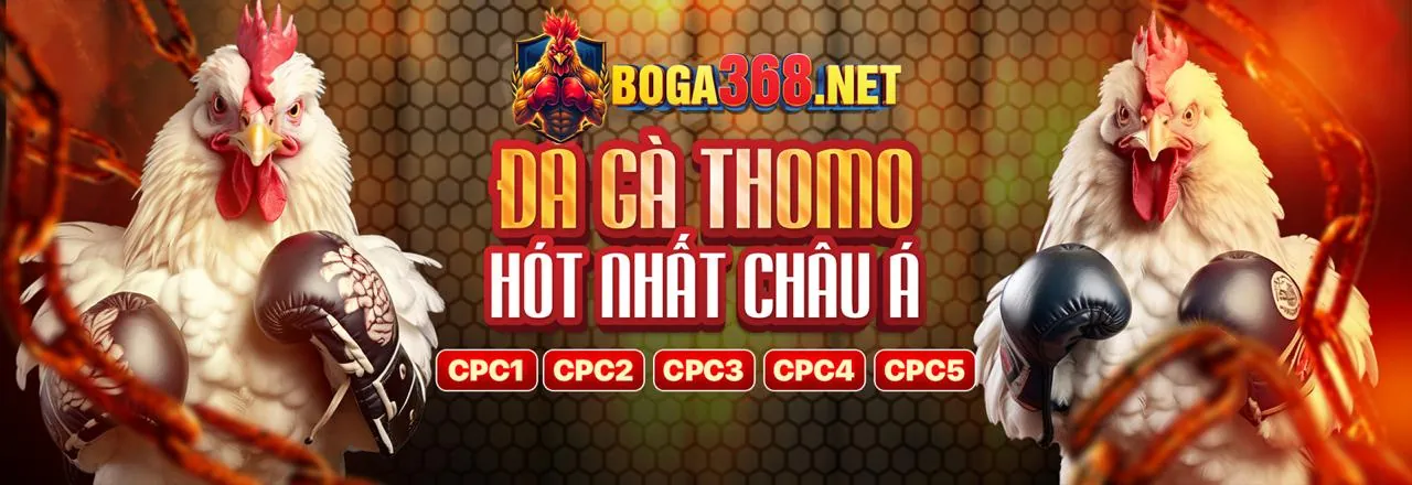 Hướng Dẫn Trò Chơi 8us login